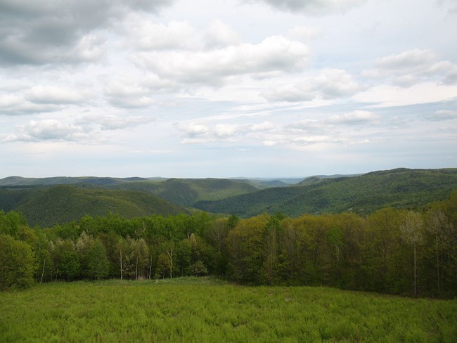 Berkshire Mountains. By JBCurio CCBY2.0