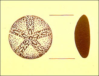 Decorated button from the Locher/Poffenberger cabin.