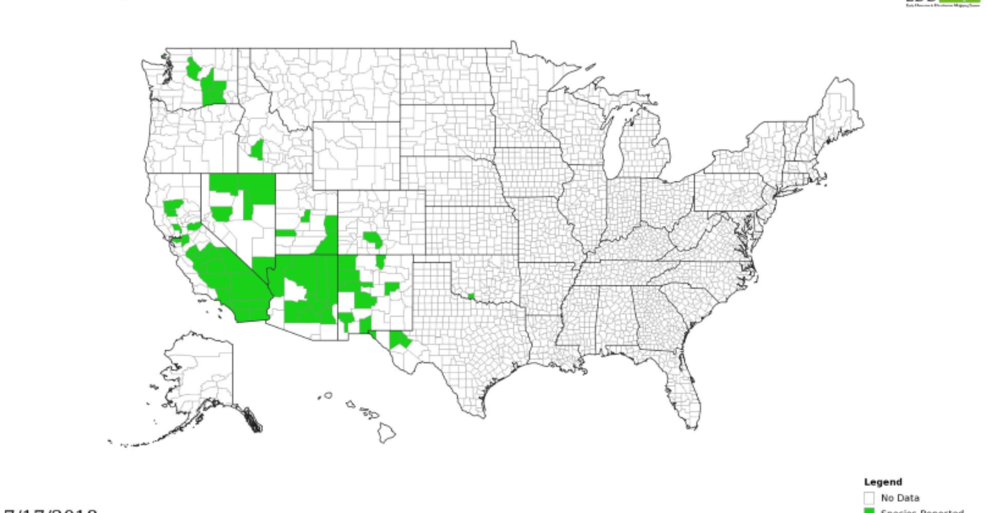 Map of where camelthorn is