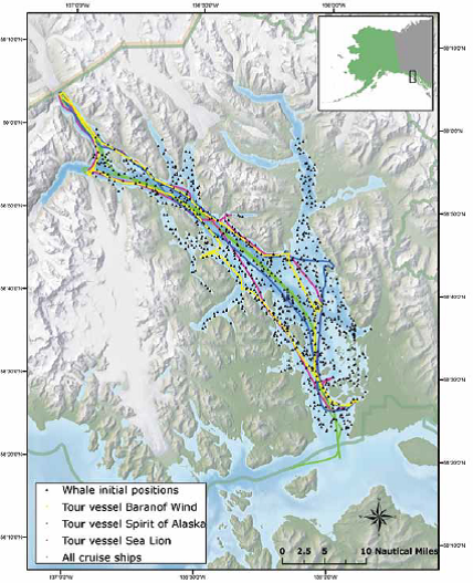 Map of ship tracks and whale distribution in Acoustic Integration Model