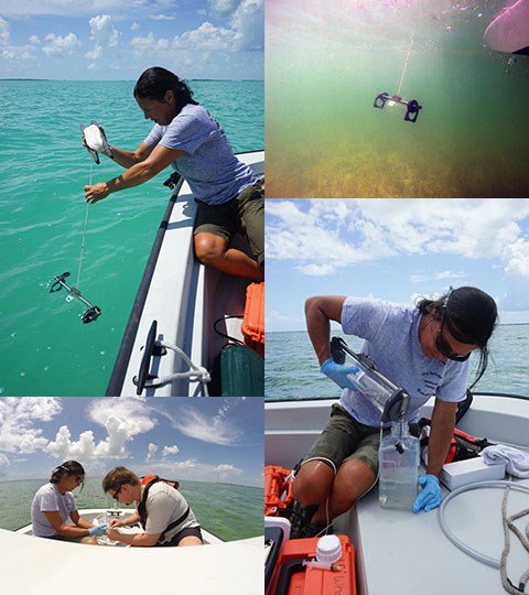 collage of 4 images of a man and woman collecting ocean water samples