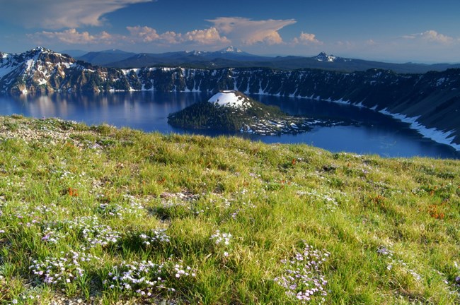Scenic view of Crater Lake with wildflowers
