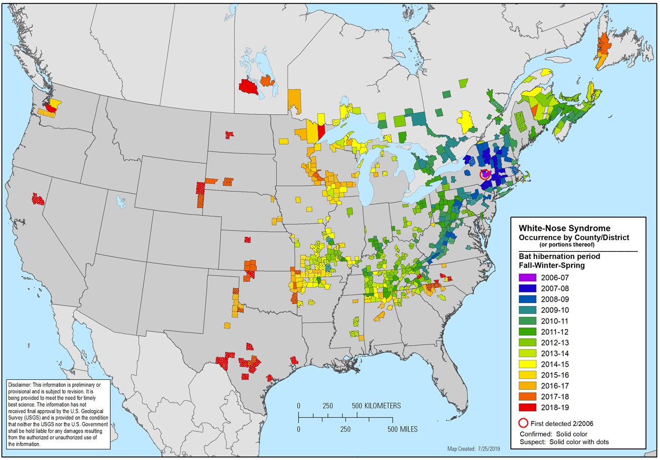 The New York county where White-nose Syndrome was first detected, and the disease's spread outward to other counties as far West as Wyoming over time. New detections also appear hundreds of miles further west, in Washington and California.