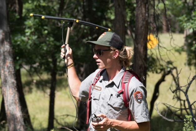 A ranger uses telemetry equipment to track bats, which looks like a satellite