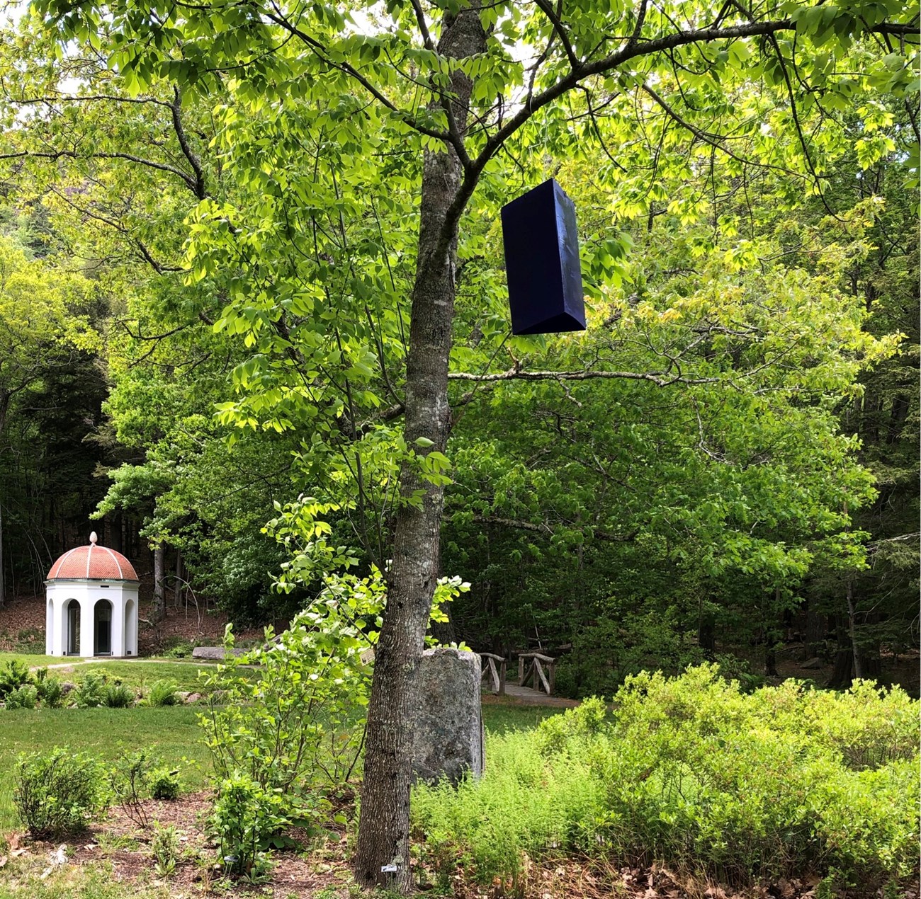 Purple prism trap at Sieur de Monts spring