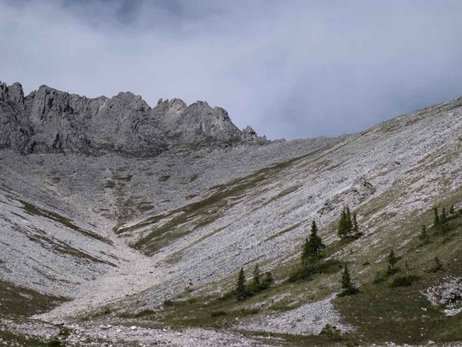 Dramatic steep dry basin with boreal forest on the edge.