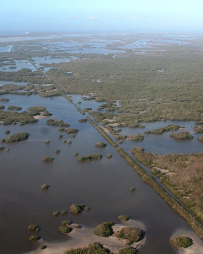 aerial view of everglades and canal
