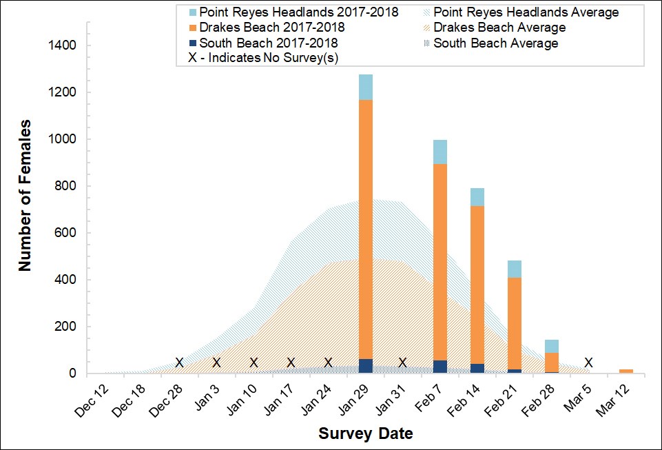 Stacked bar graph of female elephant seal counts at three colonies in Point Reyes in 2018-2019 by survey date, overlayed on a stacked area graph showing the average number of females surveyed at the colonies between 2005 and 2017.