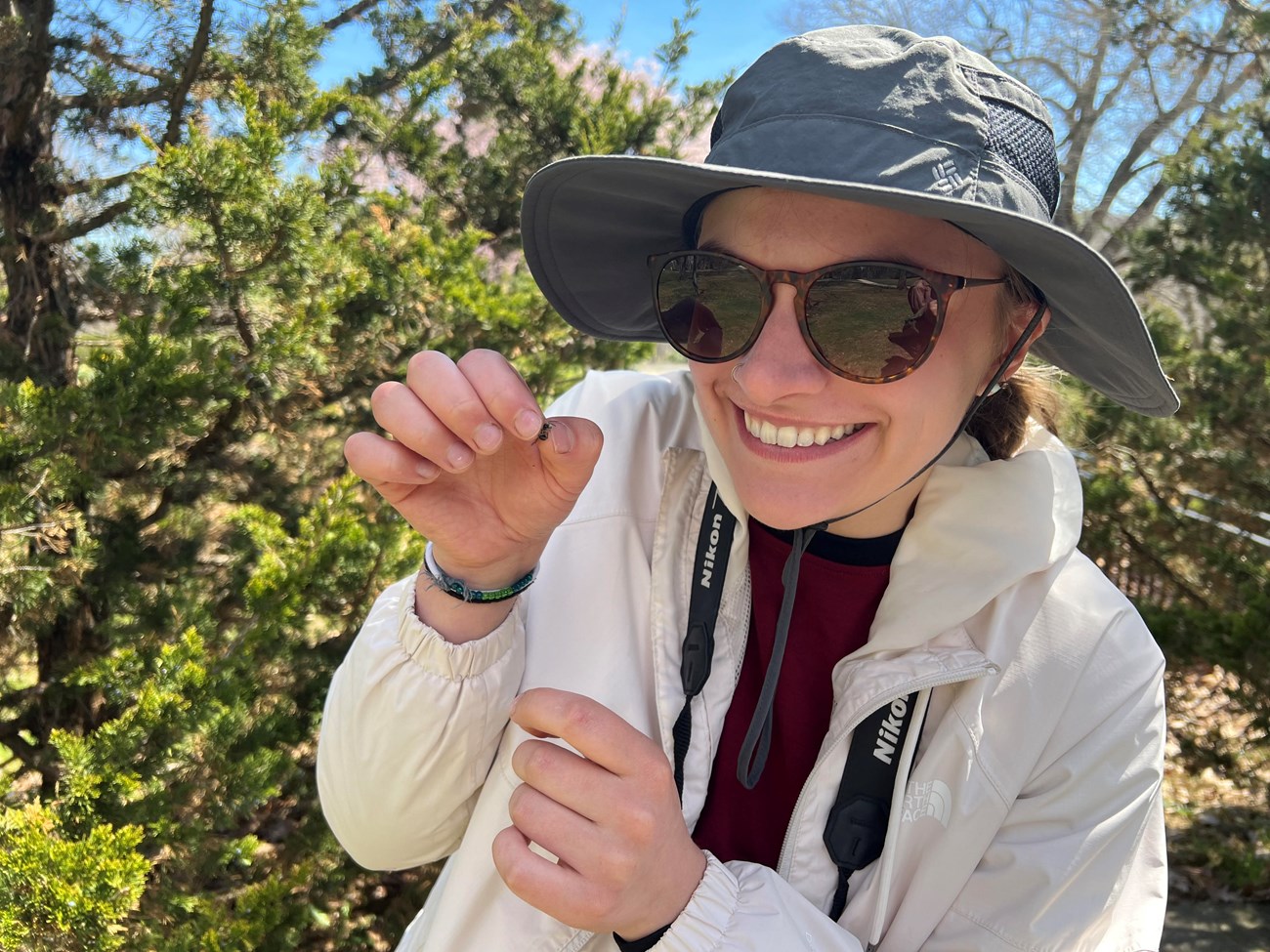 A person carefully holding a really small bee.