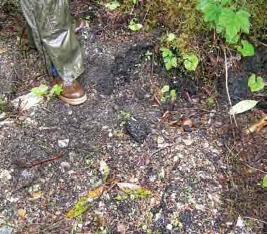 Leg and foot in rain gear in an open area with leaf litter on the muddy ground.
