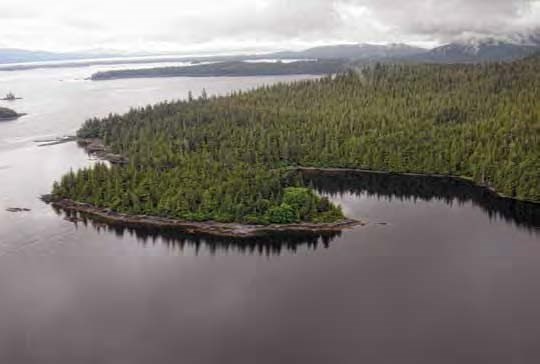 Aerial view of a forested peninsula