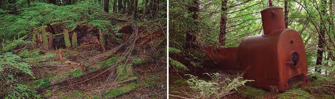 Composite of two photos. Left: Wood and rusted metal covered in moss. Right: large rusted metal tank