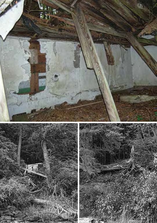 Composite of three images. Top: interior collapsed cabin. Bottom: two views of collapsed structures in the forest