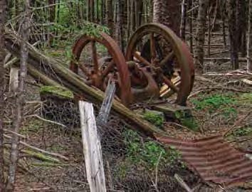 Rusted wheels and other metal in a forested area