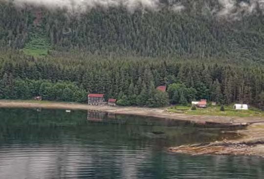 Color photo of buildings along a shore with forest backdrop