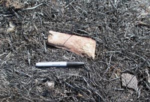 Artifacts after grass fire.
