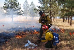 Firemen amid grass fire.