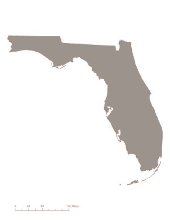 Picture of state of Florida in gray – indicating it was not one of the original 36 states to ratify the 19th Amendment. CC0
