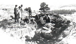 Photograph of George Wieland supervising a crew of workers excavating fossil cycadeoids in Fossil Cycad National Monument.