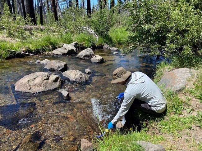 Scientist in field gear kneeling beside a rocky, clear waterbody, collecting a water sample.
