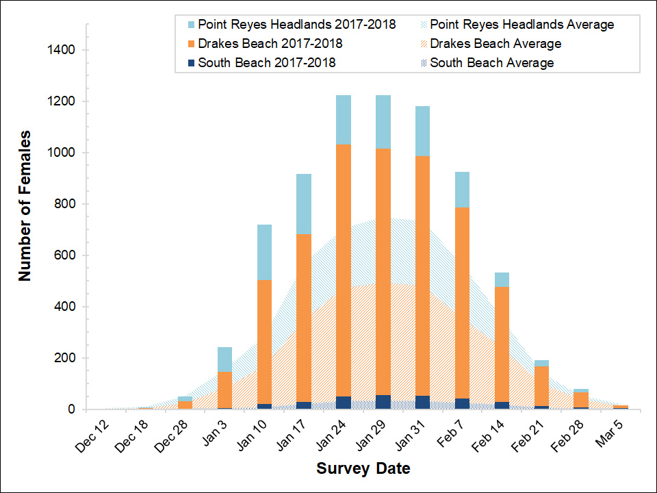 Stacked bar graph of female elephant seal counts at three colonies in Point Reyes in 2017-2018 by survey date, overlayed on a stacked area graph showing the average number of females surveyed at the colonies between 2005 and 2017.