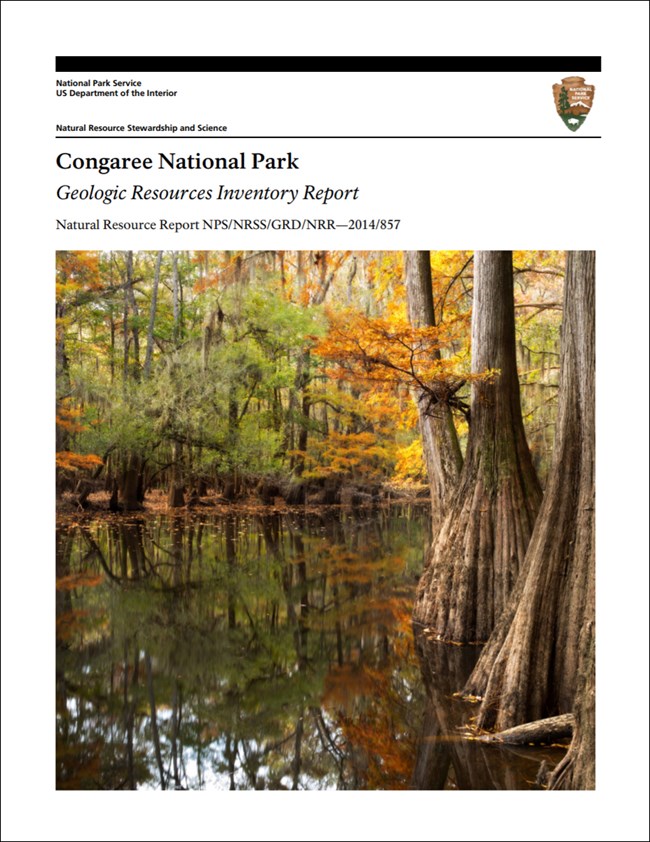 congaree report cover with wetlands image