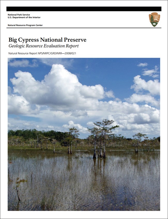 big cypress report cover with landscape image