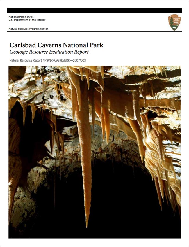carlsbad caverns report cover with cave formation image