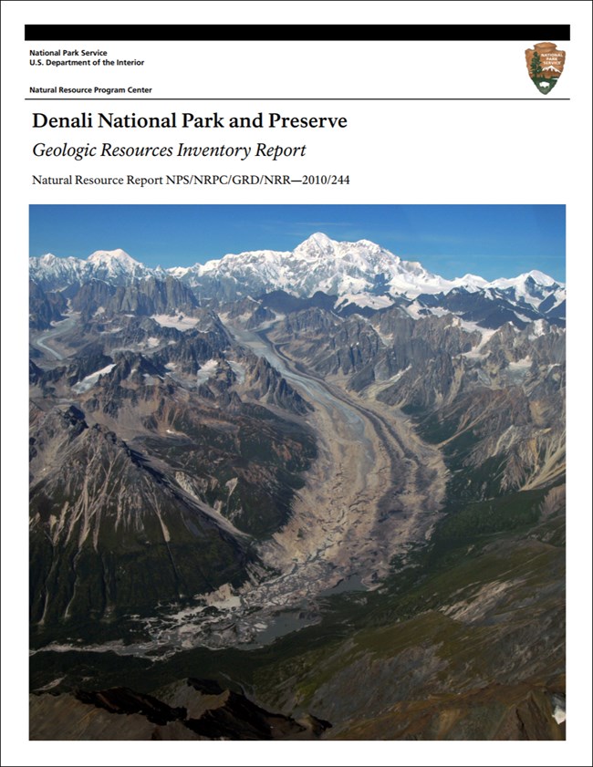 denali report cover with landscape image