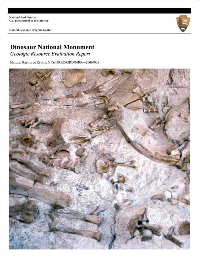 dinosaur report cover with quarry image