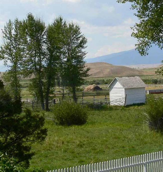 ranch view with fence and shed