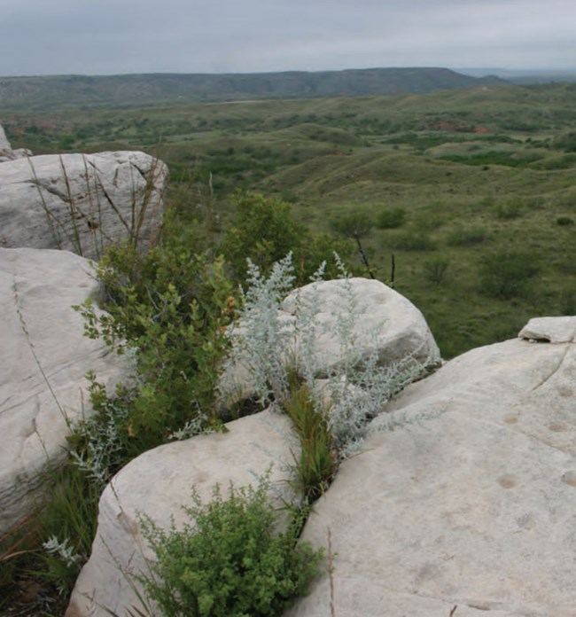rock outcrop overlooking park landscape