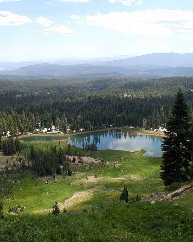 meadow, lake, and forest