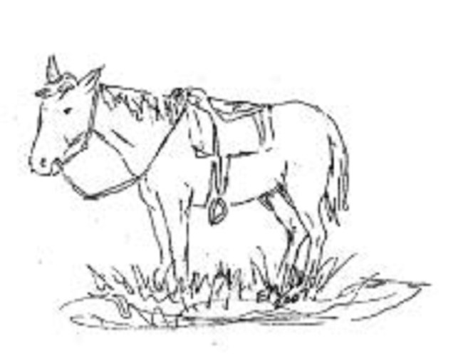 Illustration of a horse with a saddle