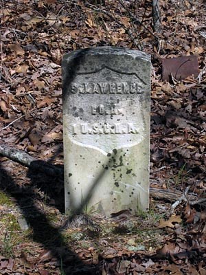 Headstone in the forest.