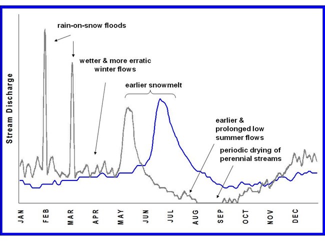 Line graph showing anticipated changes in Sierra Nevada hydrology, including peak flows from rain-on-snow events, wetter & more erratic winter flows, earlier snowmelt, earlier & prolonged low summer flows, & periodic drying of seasonal streams.