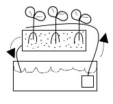 drawing of top feeder