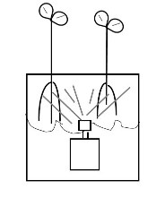 drawing of aeroponics method