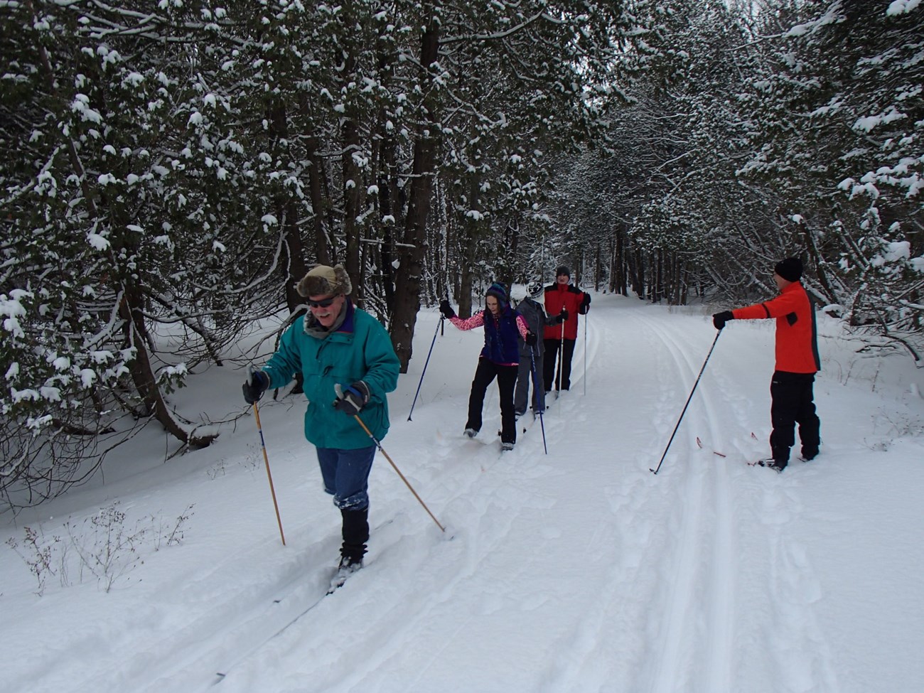 Cross country skiers enjoy a wintry jaunt through the forest in Sleeping Bear Dunes.