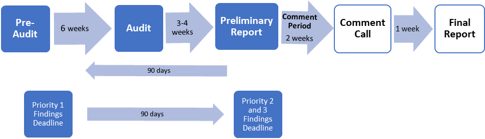 flowchart showing the audit process and timeline