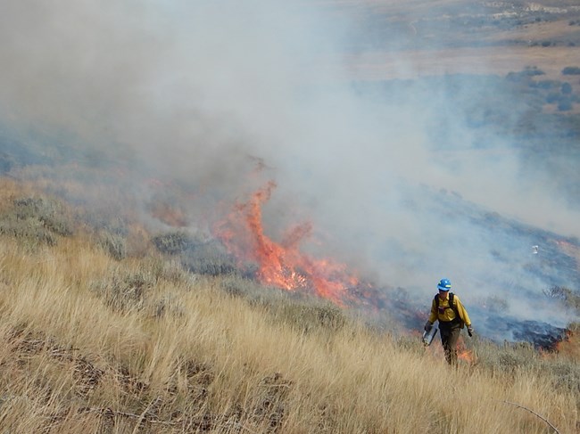 Firefighter using a "drip torch" to ignite a section of grassland, leaving flames, smoke, and blackened vegetation behind in their wake