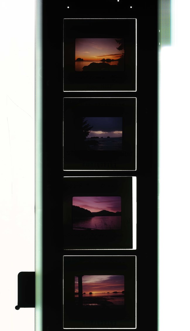 Photo negatives of Sunset at the park