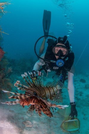 A scuba diver in blue ocean water looks at a red and white striped fish.