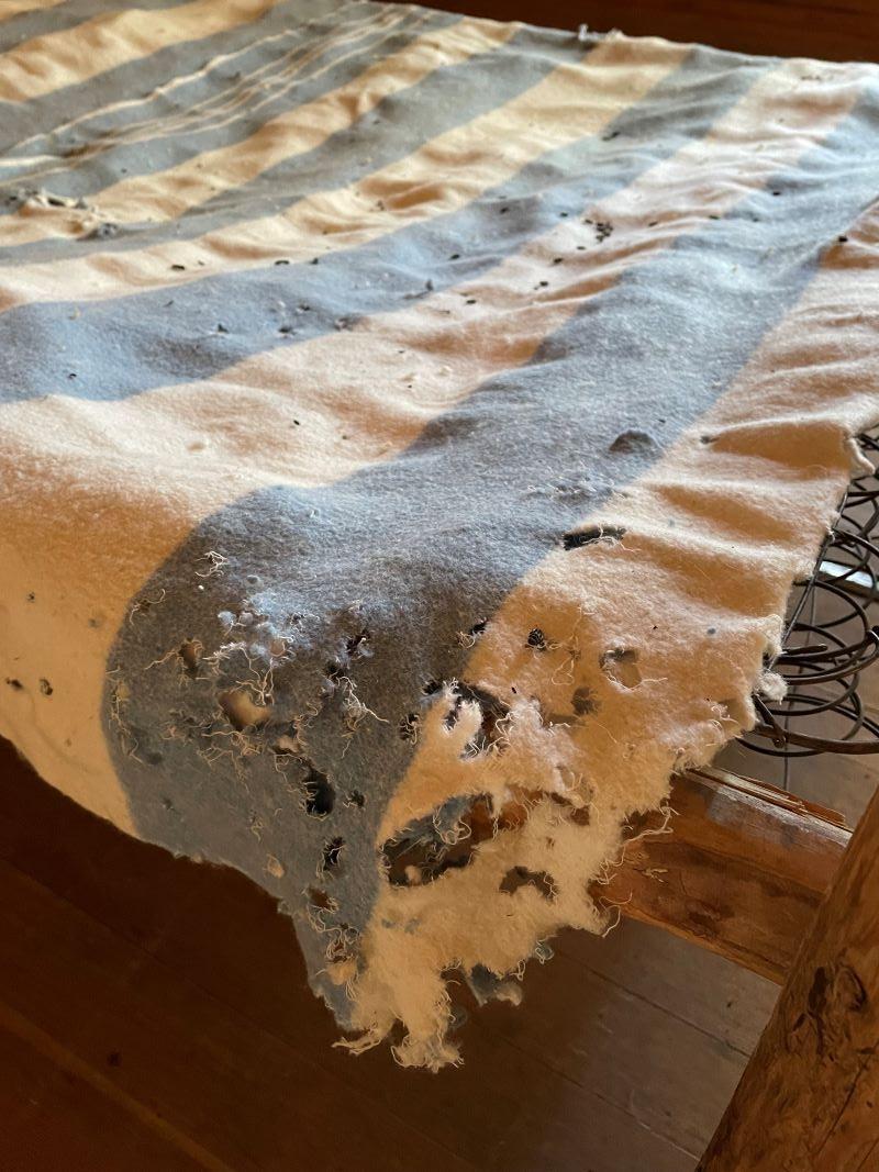 Blue and white striped blanket with holes from a mouse.