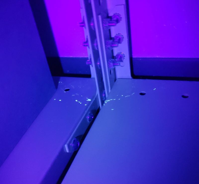 Mouse urine fluorescing under blacklight.