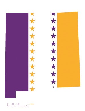 State of New Mexico depicted in purple, white, and gold (colors of the National Woman’s Party suffrage flag) – indicating New Mexico was one of the original 36 states to ratify the 19th Amendment. Courtesy Megan Springate.