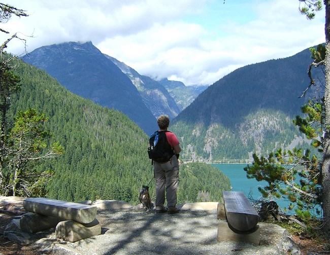 Park visitor and dog in Ross Lake Recreation Area