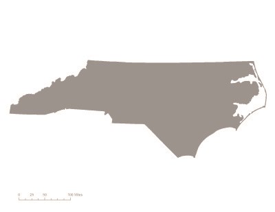North Carolina depicted in gray – indicating that it was not one of the original 36 states to ratify the 19th Amendment. Courtesy Megan Springate.