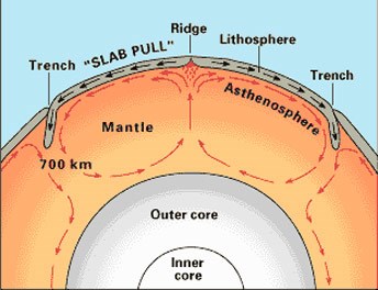 cross-section diagram of the earth showing how the crust floats atop magma