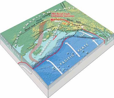 tectonic plate graphic of the coast of alaska illustrating how the pacific plate pushes under the north american plate